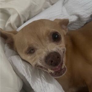 Mystery Giveaway Item-As Seen (unlisted Item From C. Sparks)